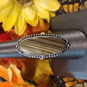 Jasper (aka Picture Jasper) Gemstone Ring - Size 9